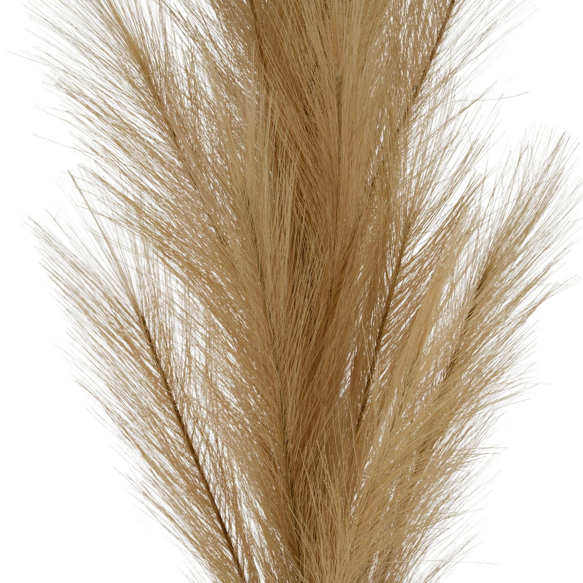 Large Faux Pampas Grass Stem – alternate view 2
