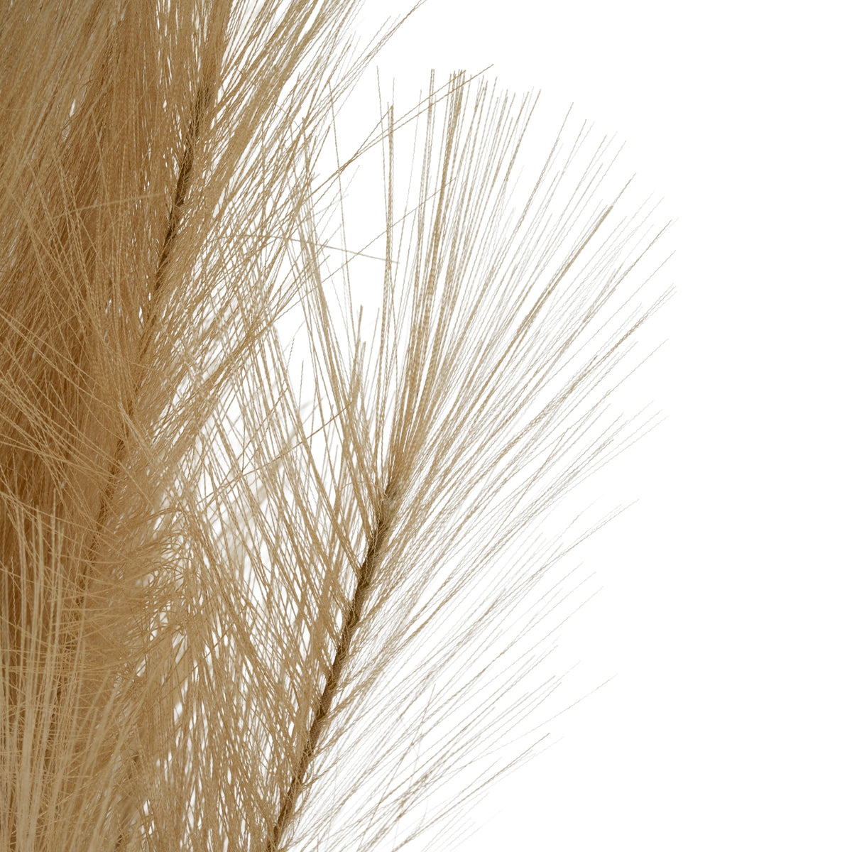 Large Faux Pampas Grass Stem – alternate view 3