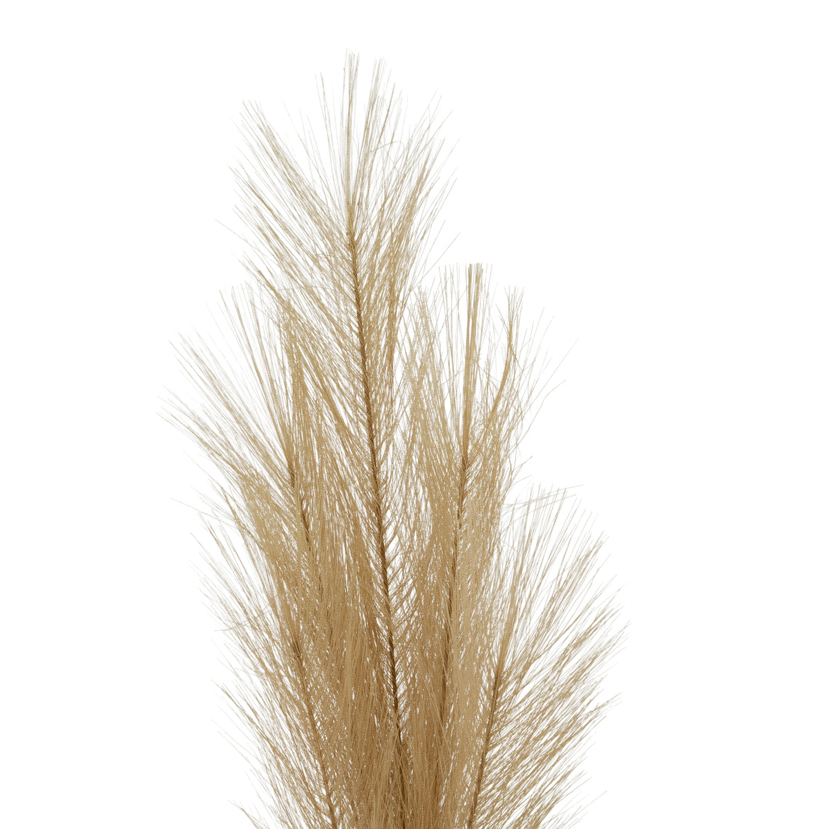 Faux Pampas Grass Stem – alternate view 2
