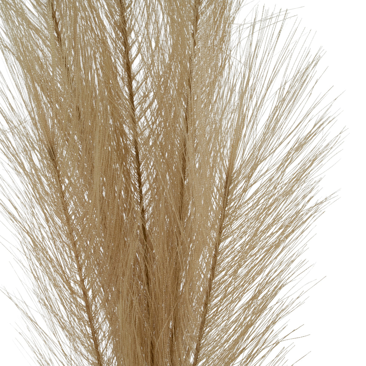 Faux Pampas Grass Stem – alternate view 3