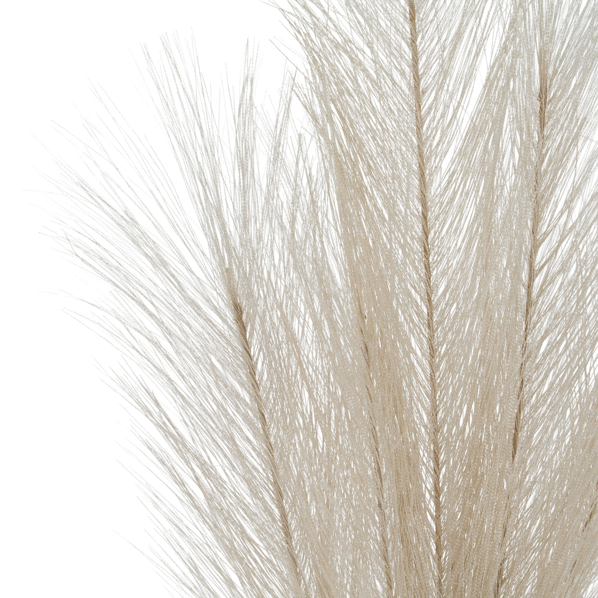 Bleached Large Faux Pampas Grass Stem – alternate view 2