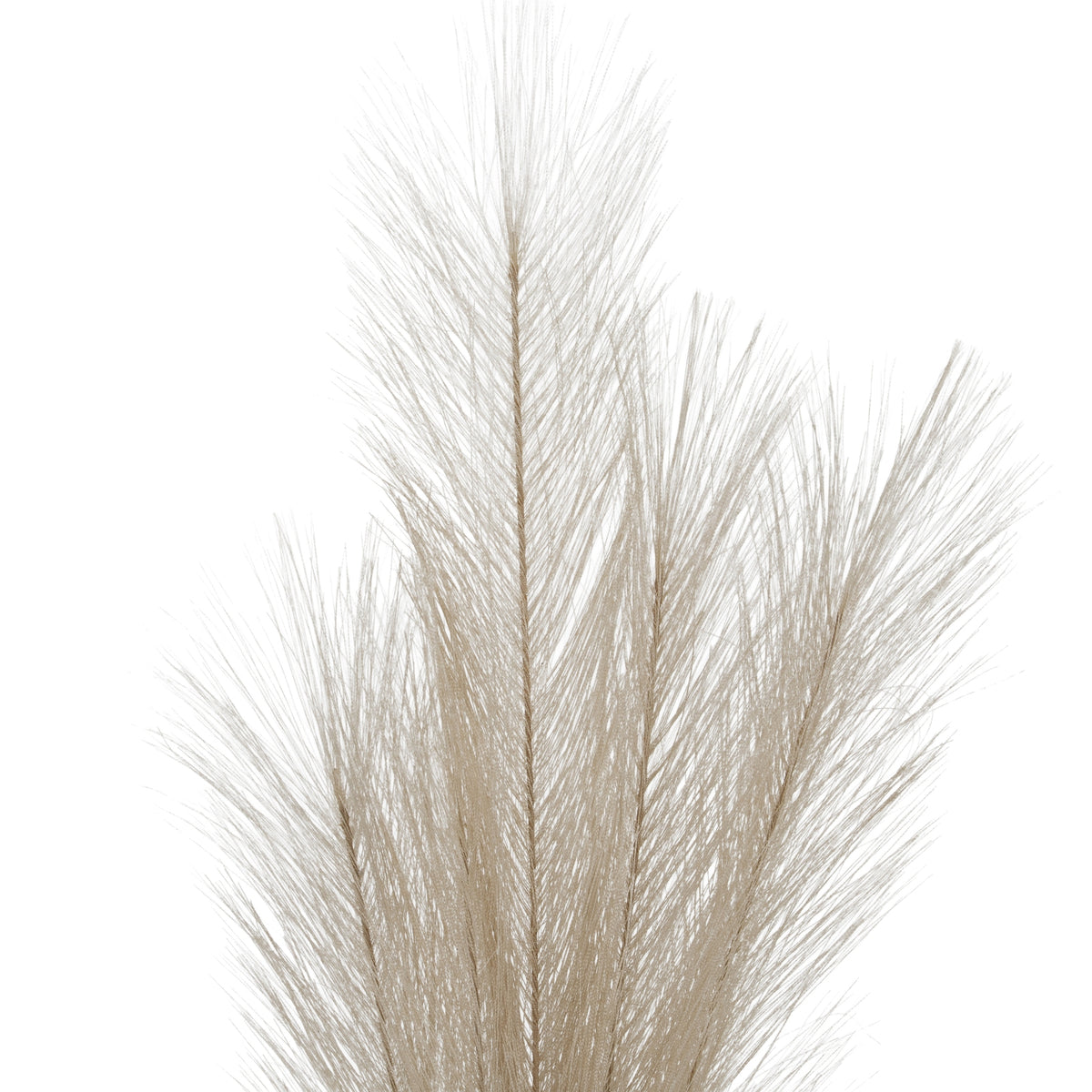 Bleached Large Faux Pampas Grass Stem – alternate view 3