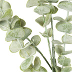 Gunnii Eucalyptus Spray – alternate view 2
