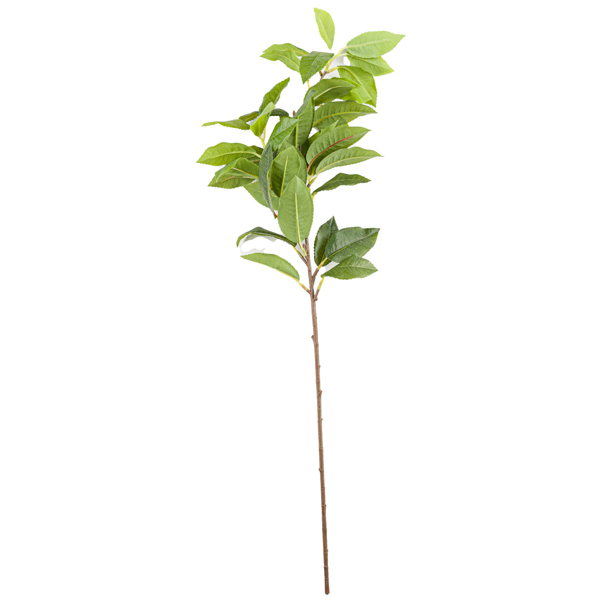 Laurel Leaf Spray – alternate view 2