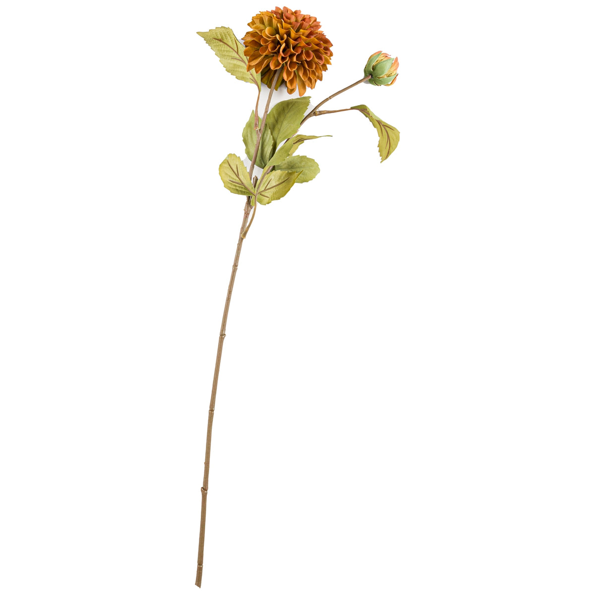 Deep Mustard Dahlia Stem – alternate view 3