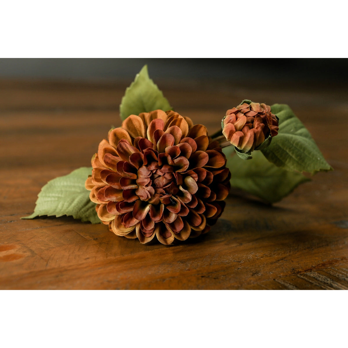 Deep Mustard Dahlia Stem – alternate view 4
