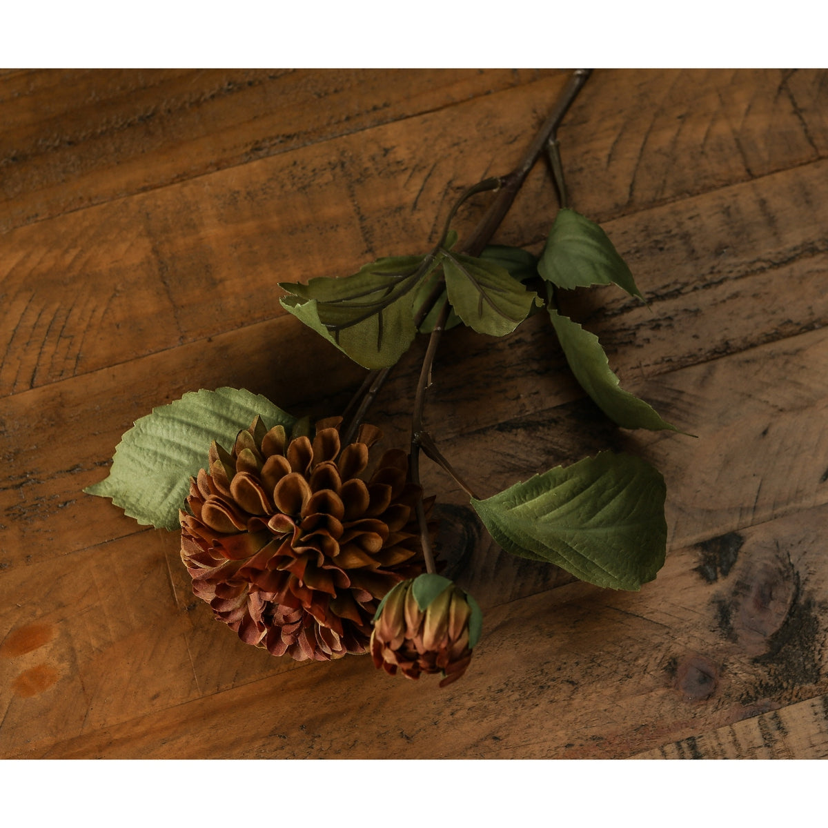 Deep Mustard Dahlia Stem – alternate view 5