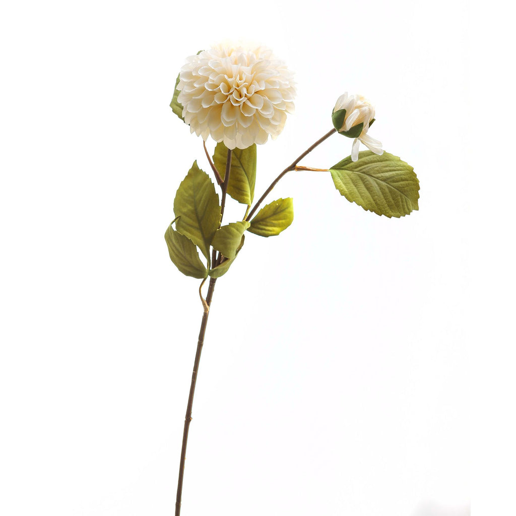 White Dahlia Stem – alternate view 2