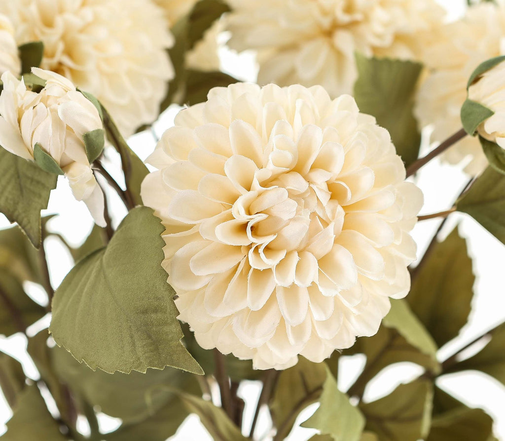 White Dahlia Stem – alternate view 3