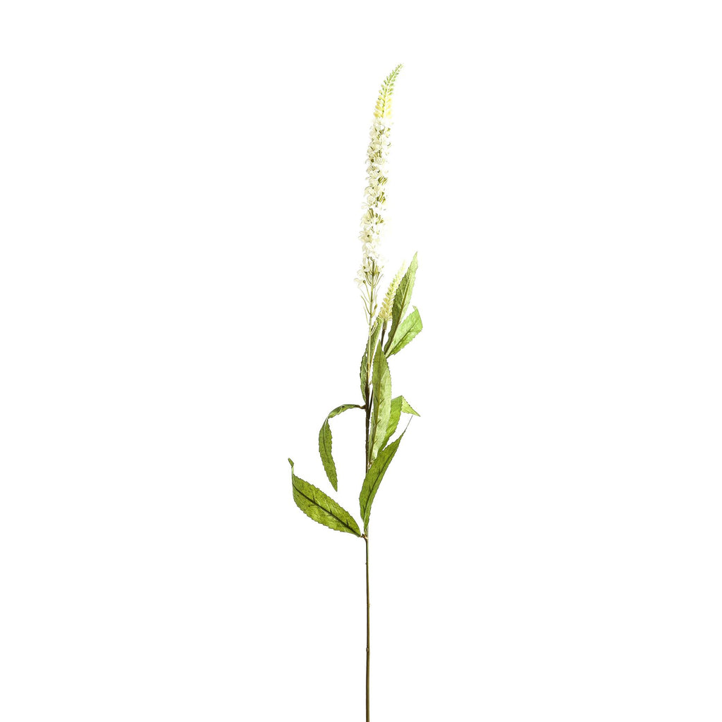 White Veronica Stem – alternate view 2