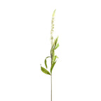 White Veronica Stem – alternate view 2