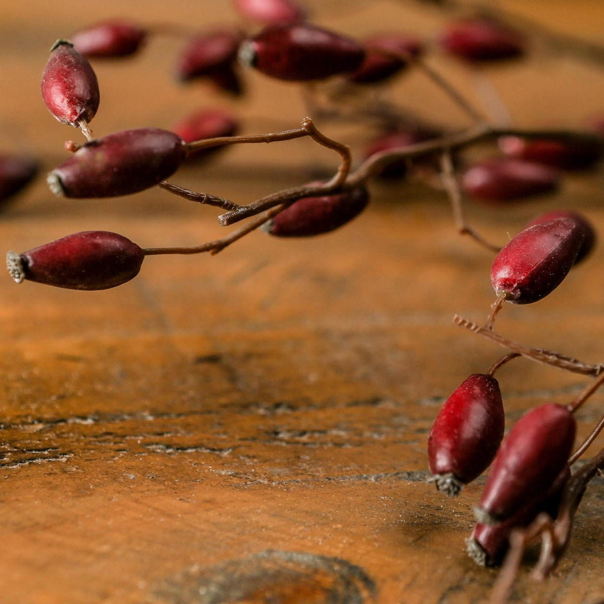 Burgundy Rosehip Stem – alternate view 2