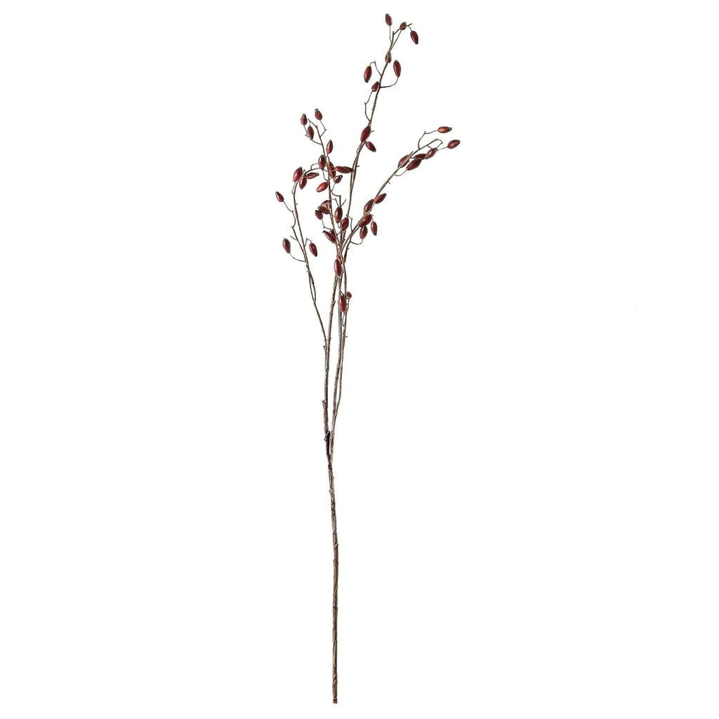 Burgundy Rosehip Stem – alternate view 3
