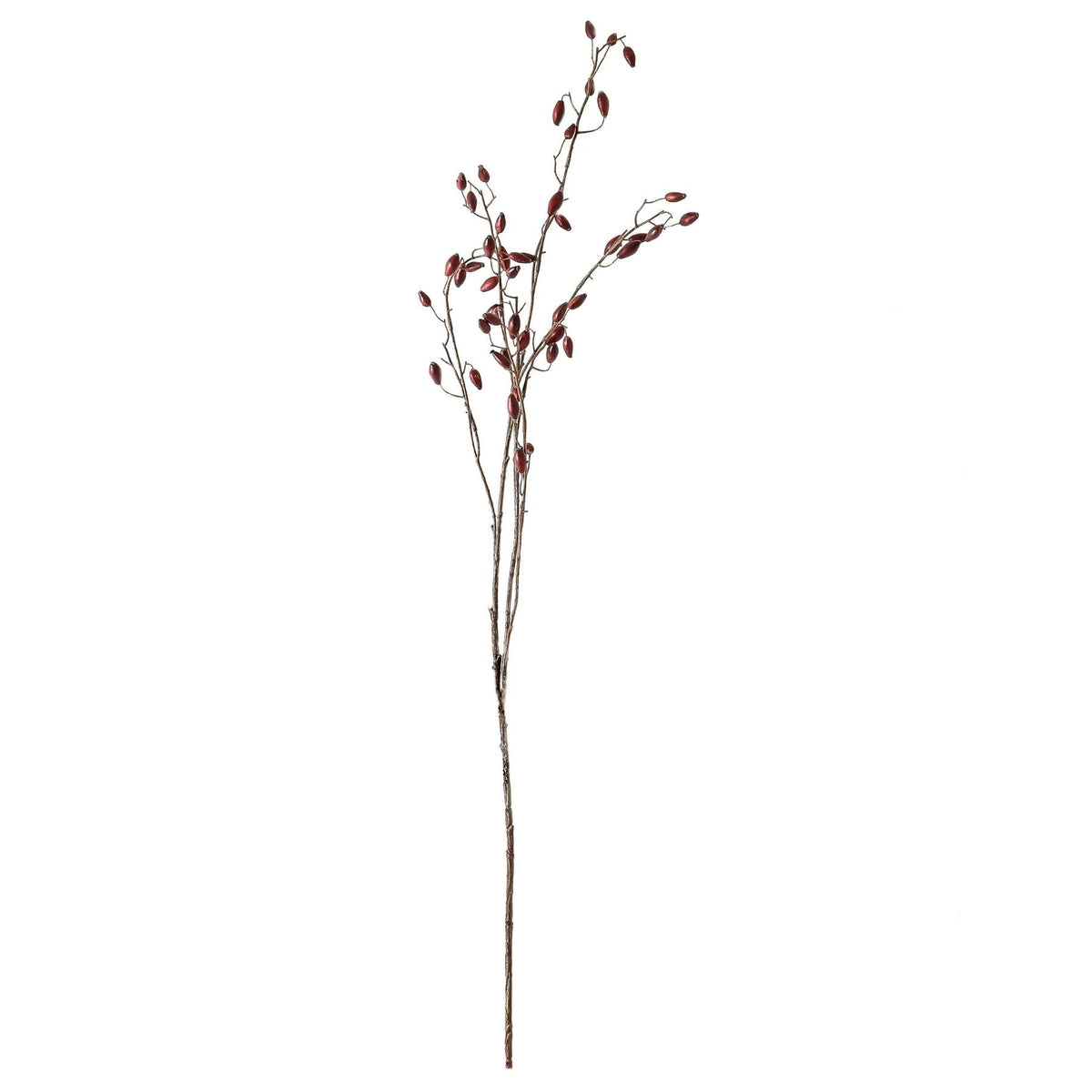 Burgundy Rosehip Stem – alternate view 3