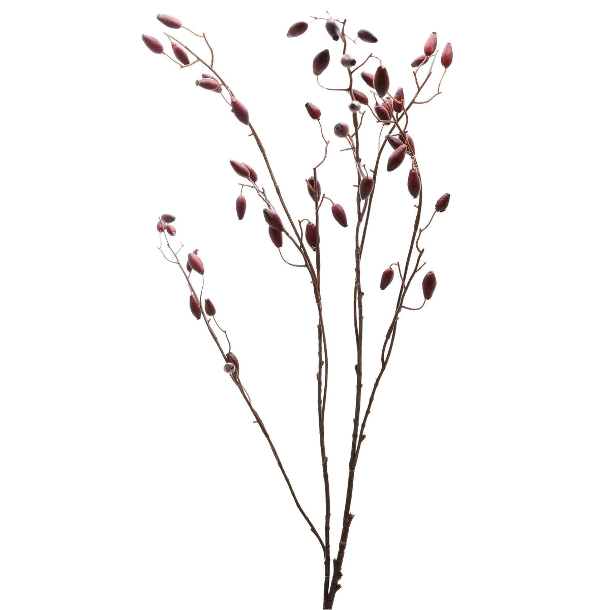 Burgundy Rosehip Stem – alternate view 4