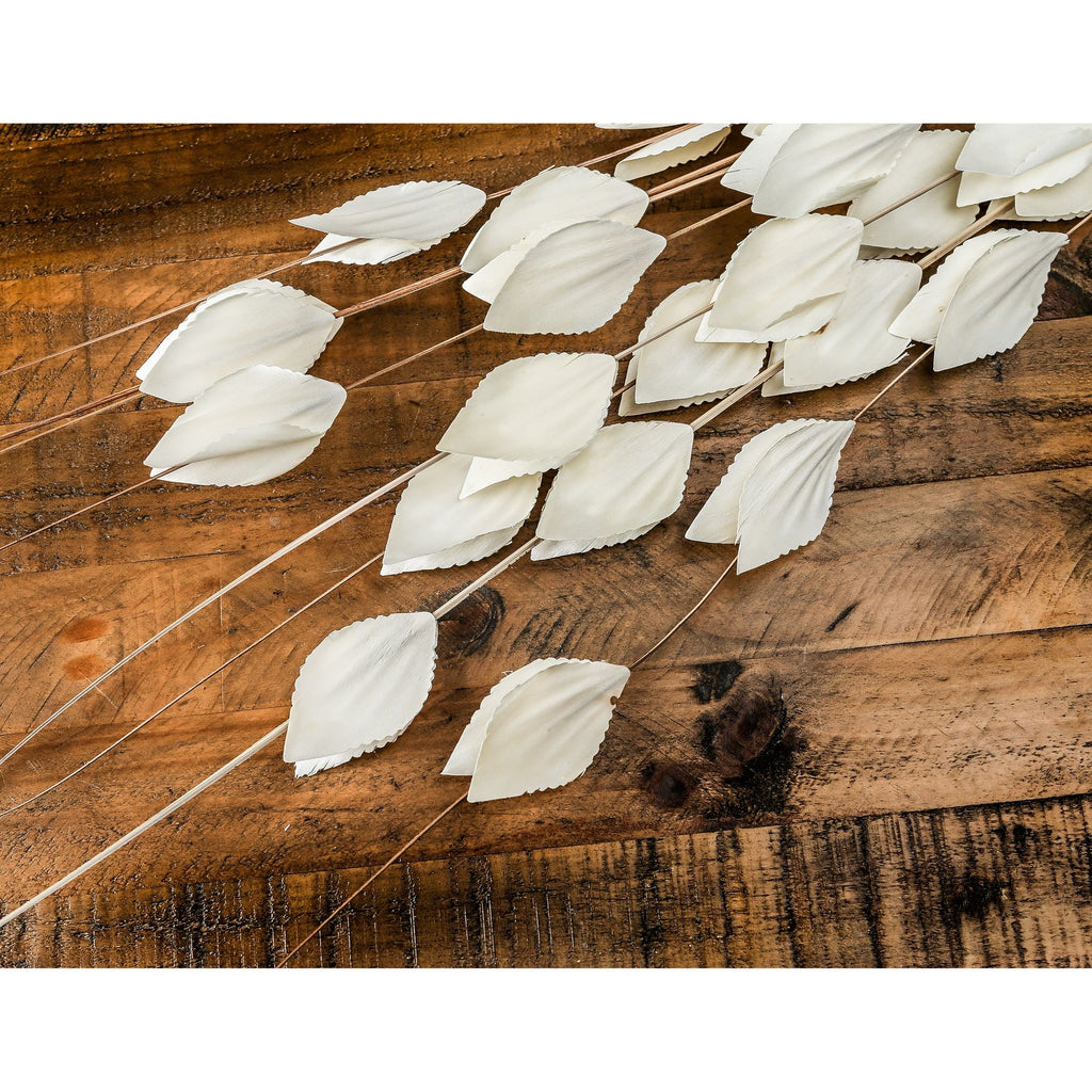 Bouquet Of Dried Thlaspi Arvense – alternate view 2