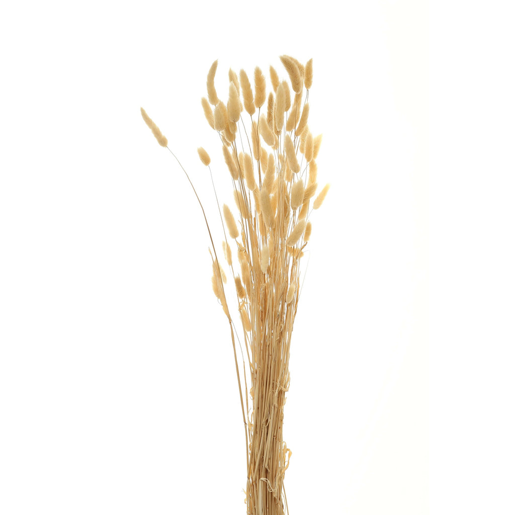 Bouquet Of Tall Bunny Tails – alternate view 2