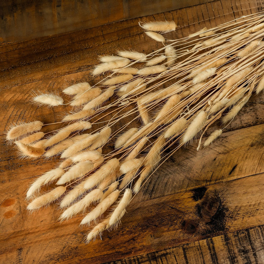 Bouquet Of Tall Bunny Tails – alternate view 3