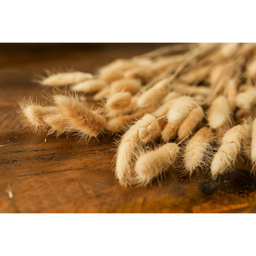 Bouquet Of Tall Bunny Tails – alternate view 4