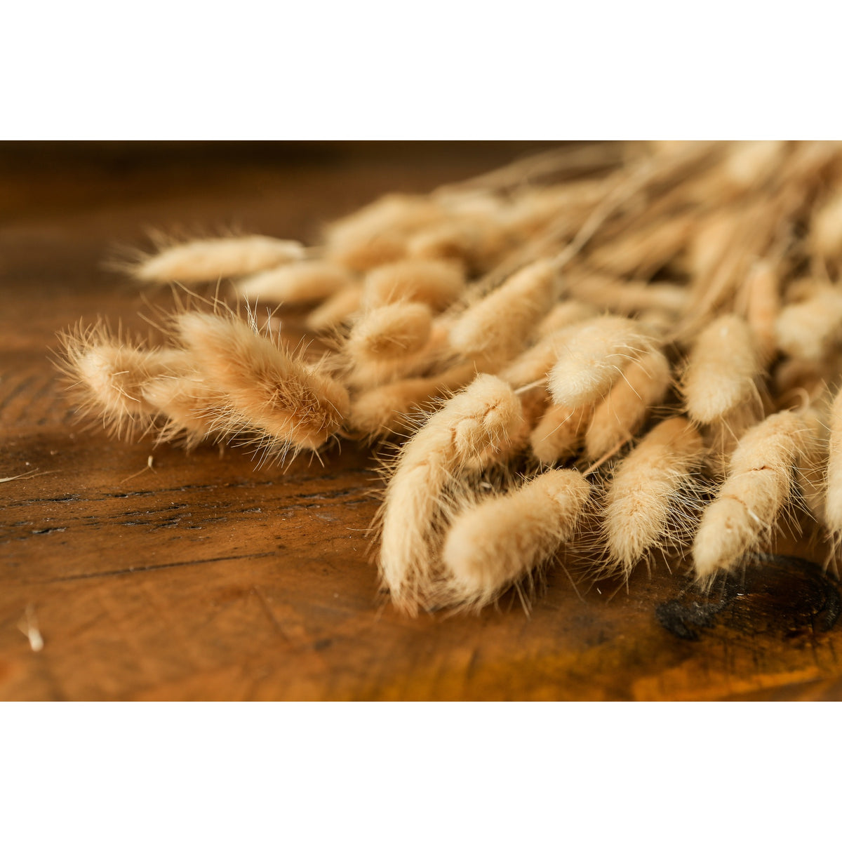 Bouquet Of Tall Bunny Tails – alternate view 4