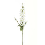 Tall White Delphinium Stem – alternate view 2