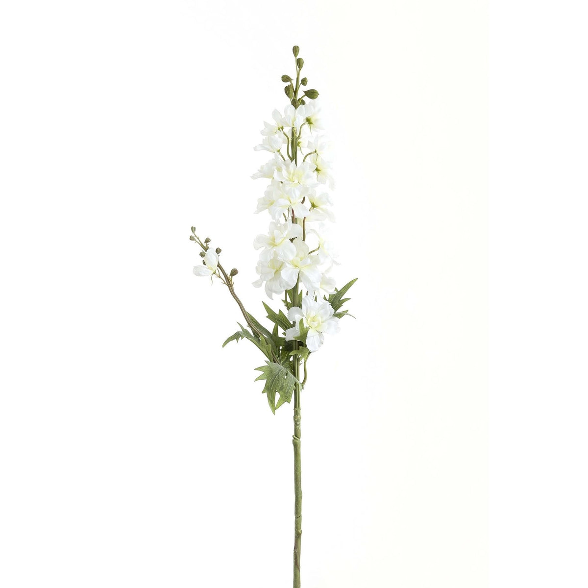 Tall White Delphinium Stem – alternate view 2