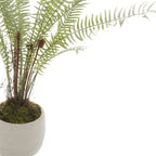 White Potted Boston Fern – alternate view 2