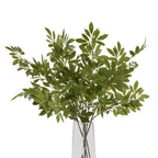 Long Fennel Stem – alternate view 3