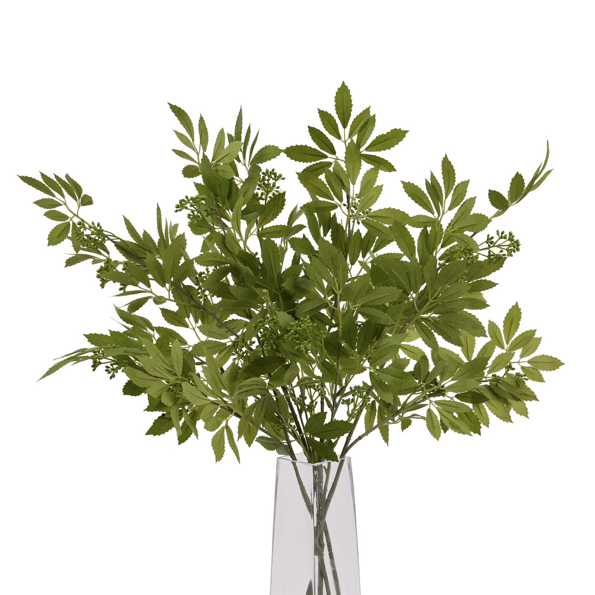 Long Fennel Stem – alternate view 3