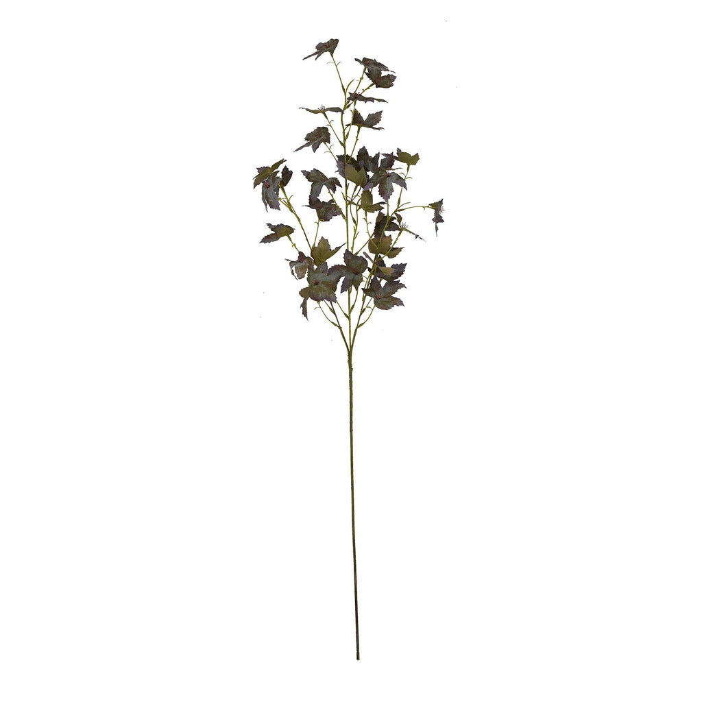 Variegated Maple Leaf – alternate view 4