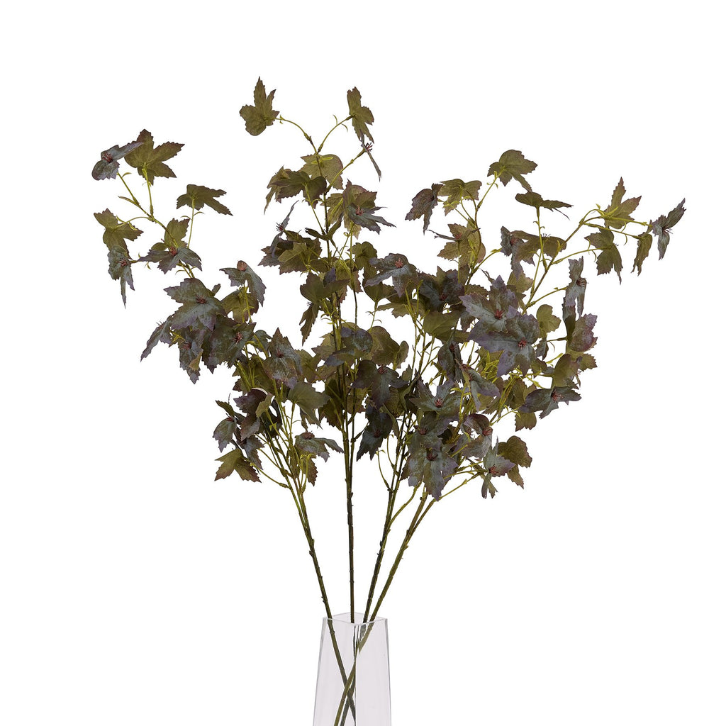Variegated Maple Leaf – alternate view 5