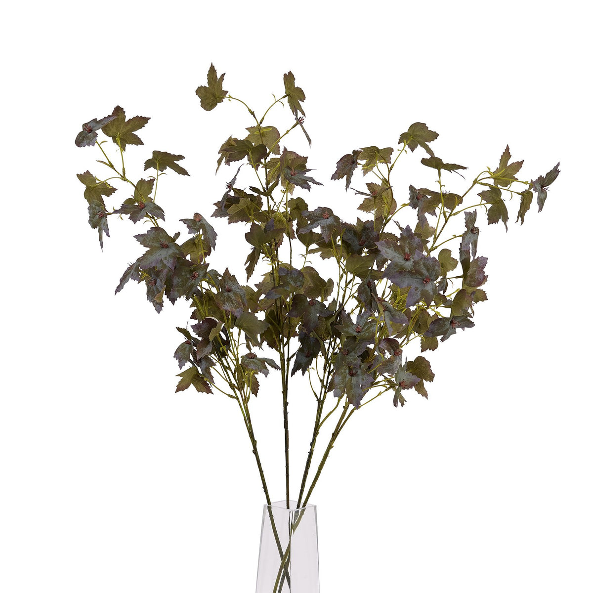 Variegated Maple Leaf – alternate view 5