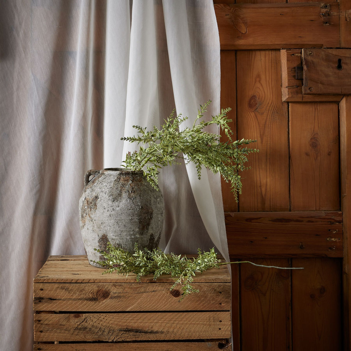 Broom Stem – alternate view 3