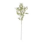 Broom Stem – alternate view 4