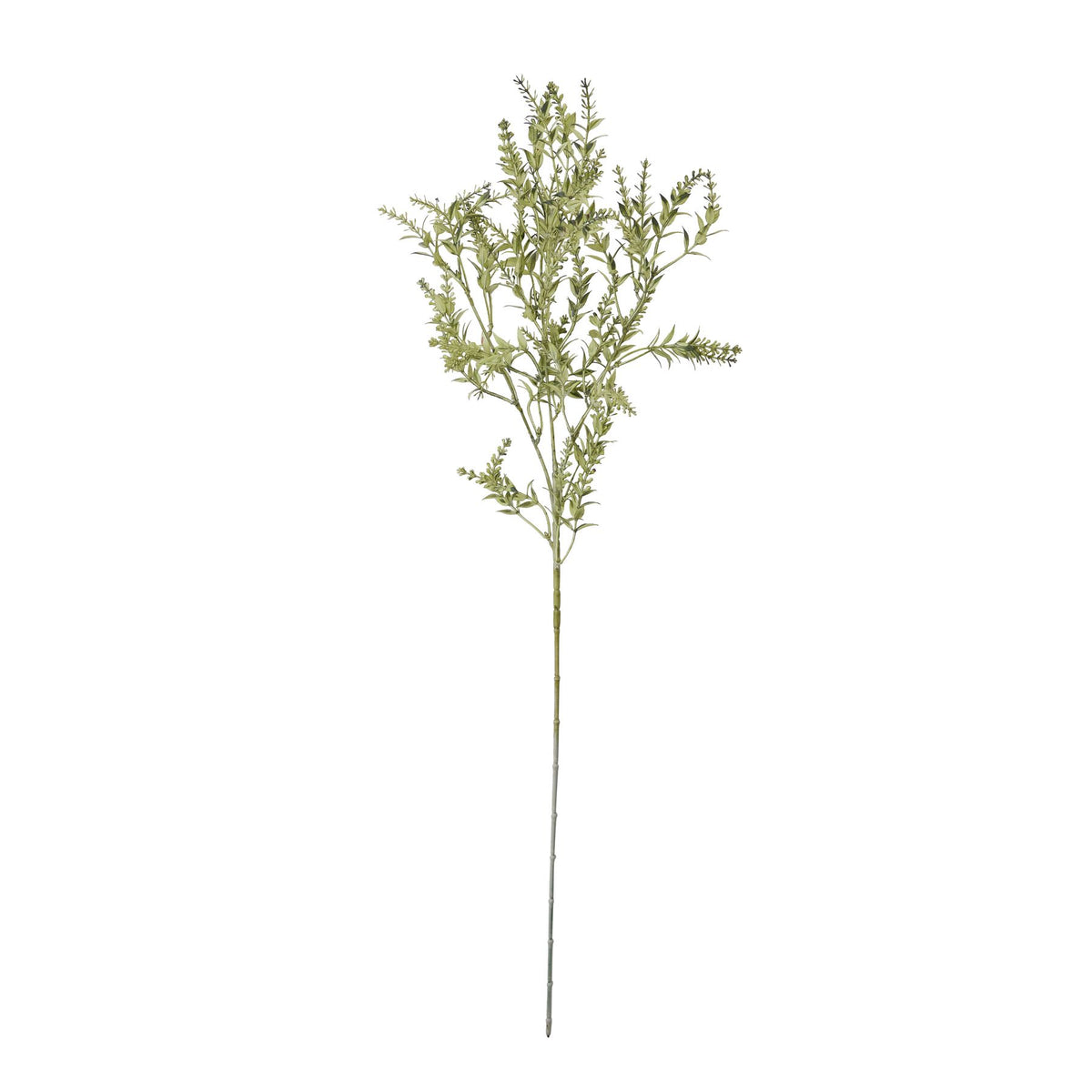 Broom Stem – alternate view 4