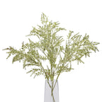 Broom Stem – alternate view 5