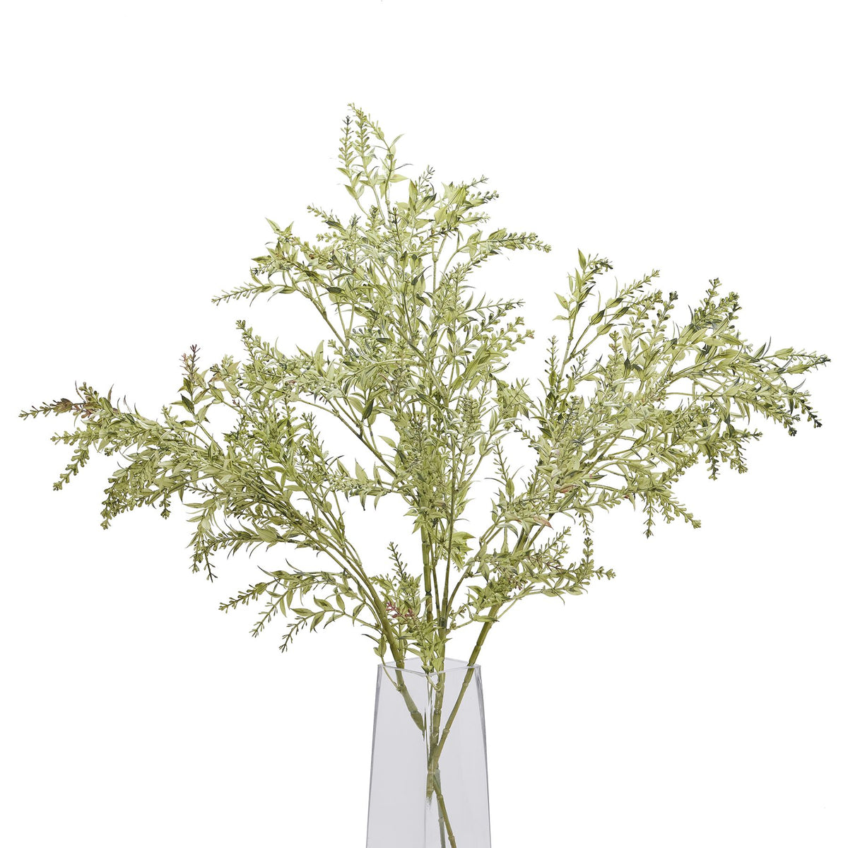 Broom Stem – alternate view 5