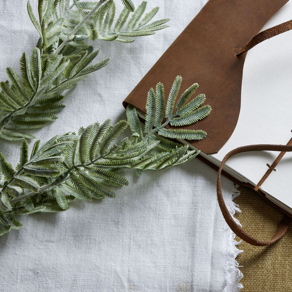 Silver Wattle Leaf – alternate view 2