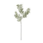 Silver Wattle Leaf – alternate view 4