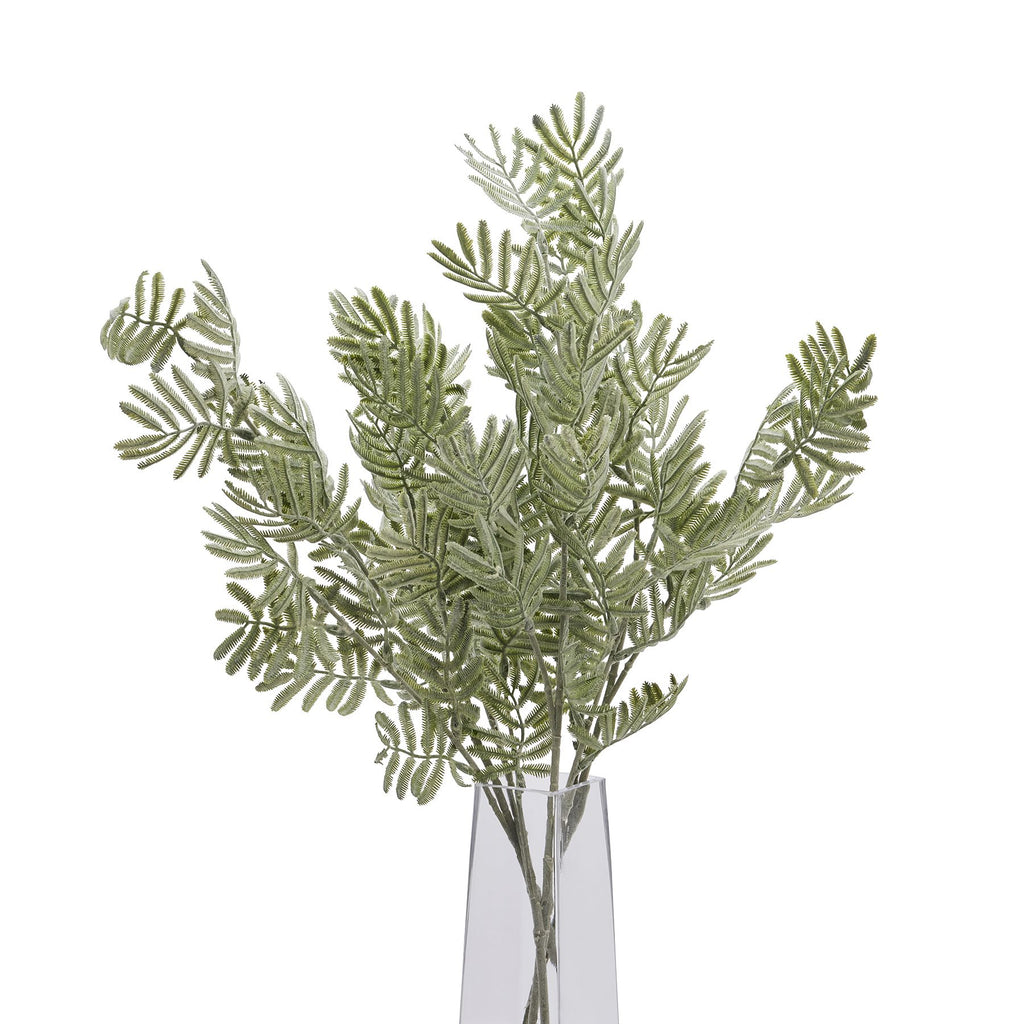 Silver Wattle Leaf – alternate view 5