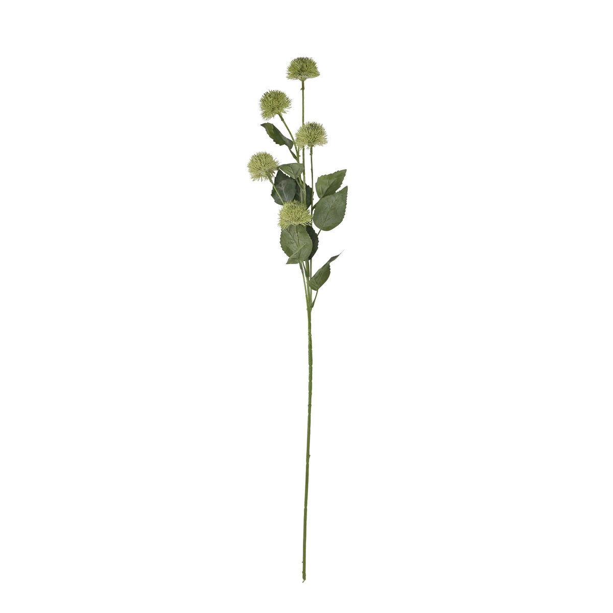 Thistle Globe Stem – alternate view 4