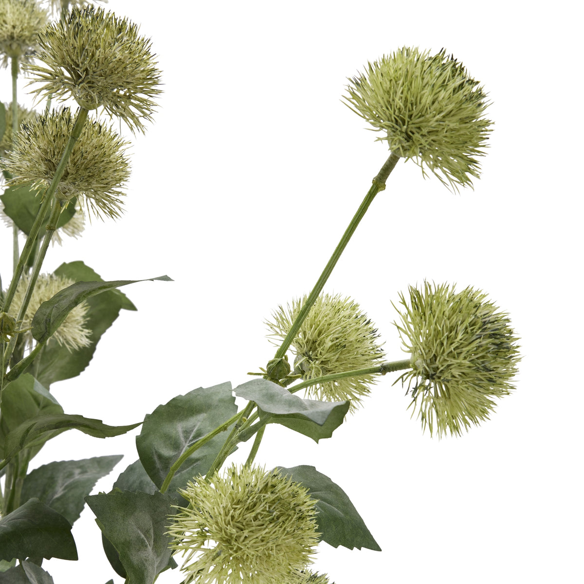 Thistle Globe Stem – alternate view 5