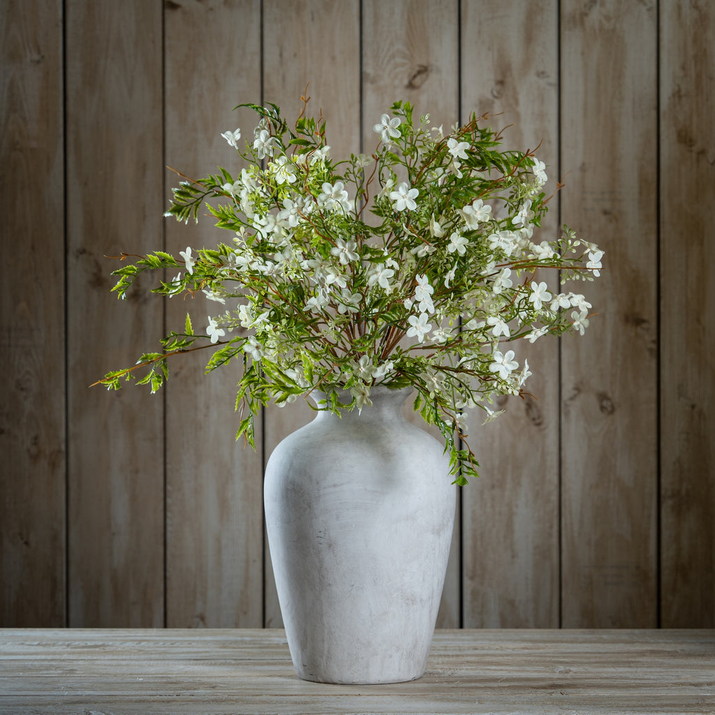 Italian White Bellflower – alternate view 2