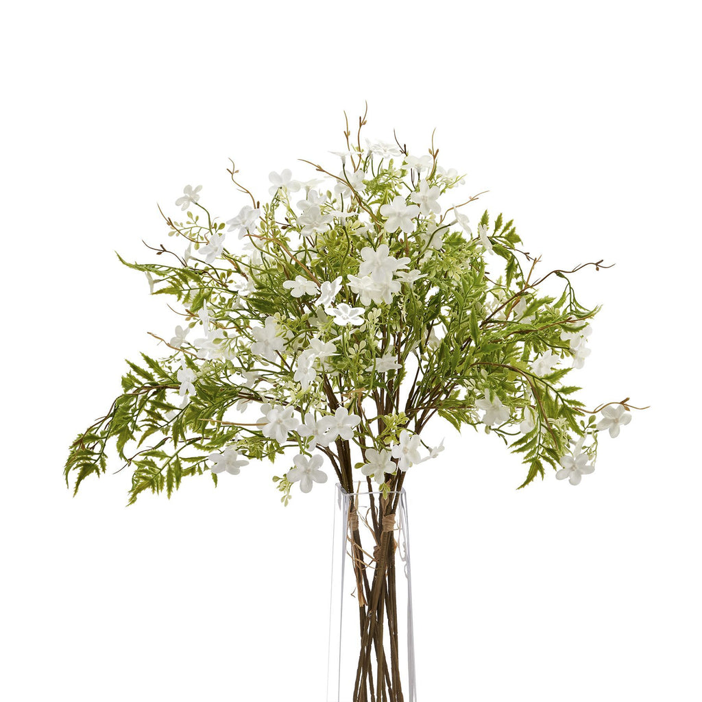 Italian White Bellflower – alternate view 3