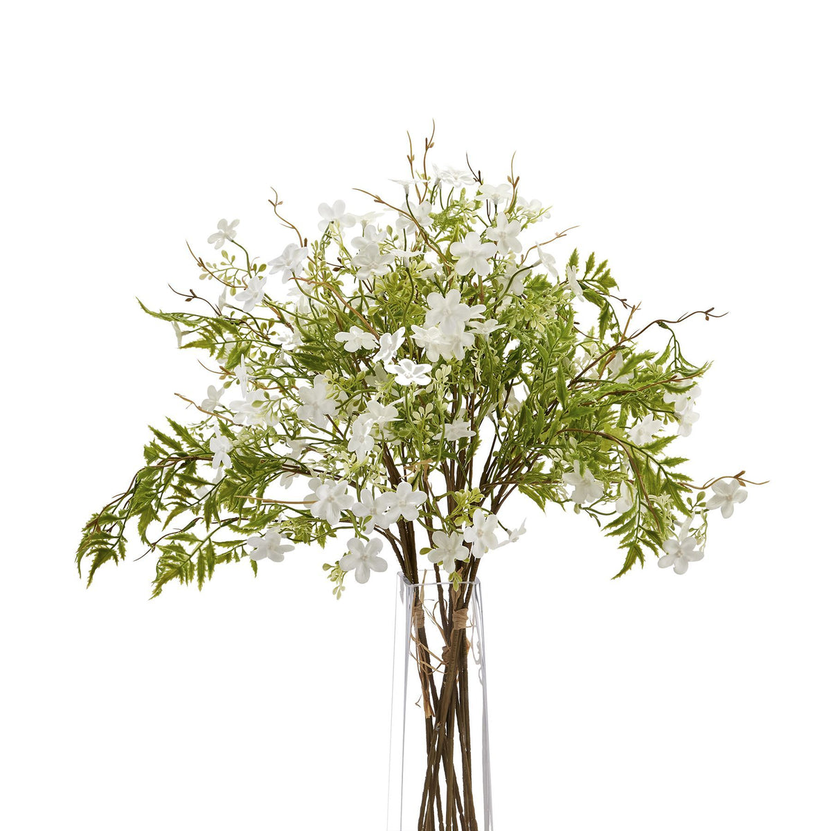 Italian White Bellflower – alternate view 3