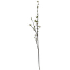 Green Berry Willow Stem – alternate view 4