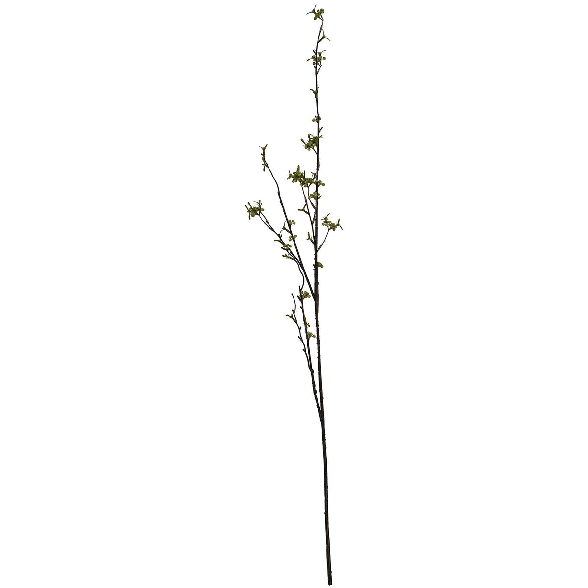 Green Berry Willow Stem – alternate view 4