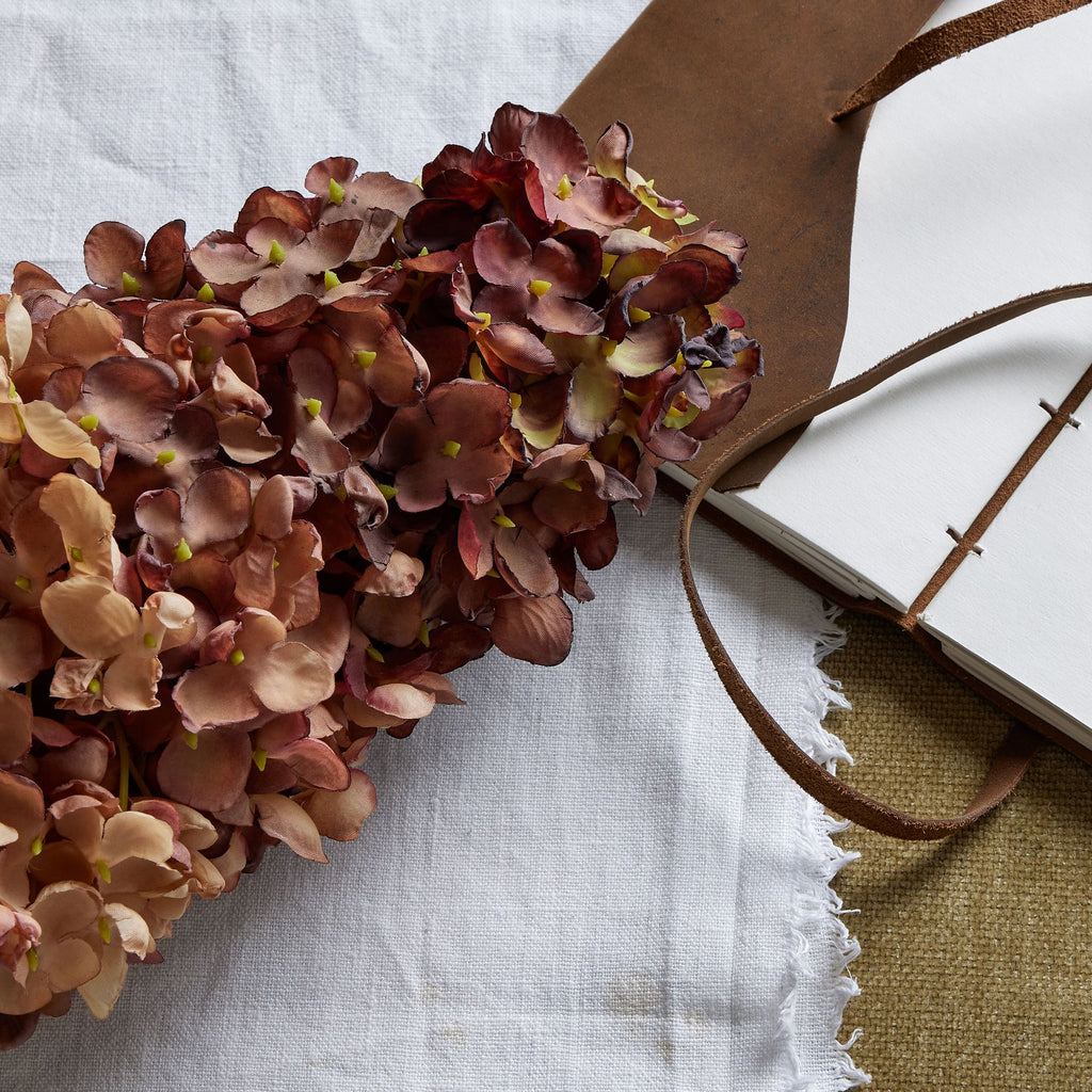 Burgundy Spear Hydrangea – alternate view 2