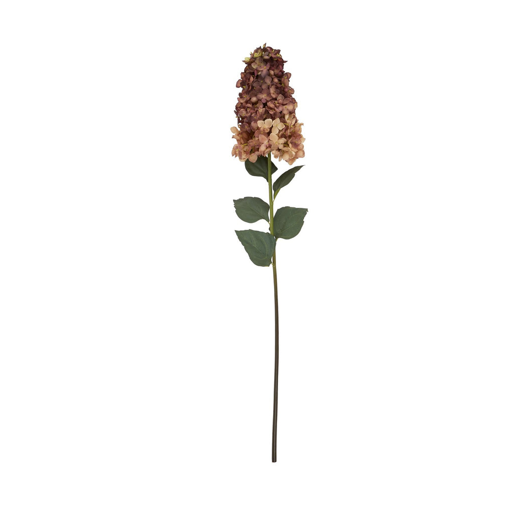 Burgundy Spear Hydrangea – alternate view 4
