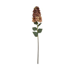 Burgundy Spear Hydrangea – alternate view 4